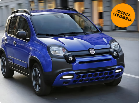 FIAT PANDA 1.0 70cv S&S Hybrid Noleggio Lungo Termine